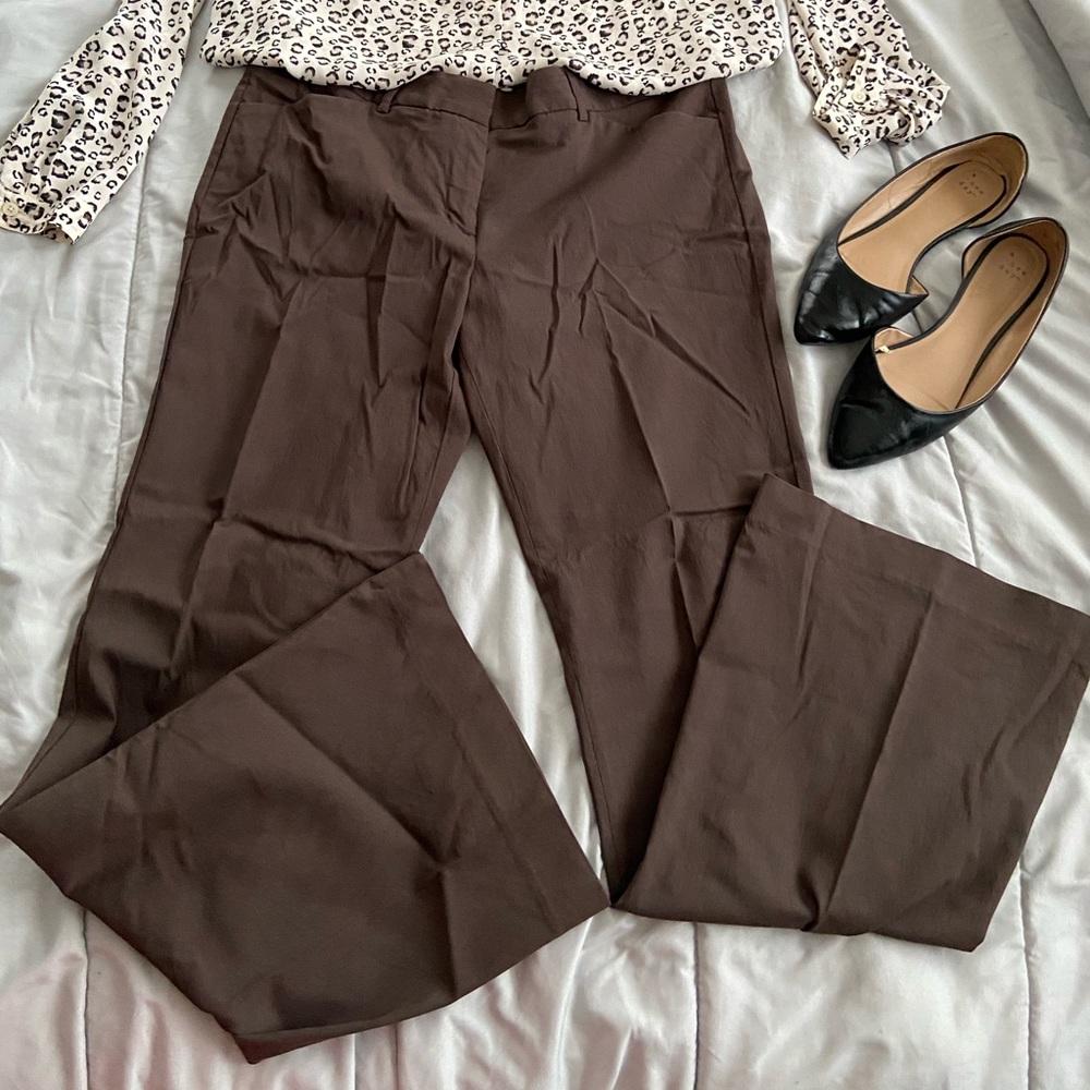 Express Design Studio Editor Pants (Brown) Size 12